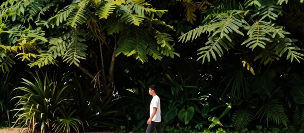 Caminhadas Diárias: O Exercício Simples Que Transforma Sua Vitalidade